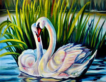 Любовь лебедей