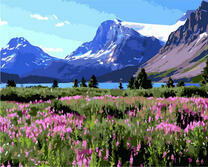 Цветущий луг у горного озера