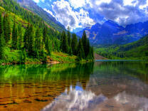 Прозрачная река в лесу