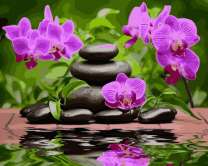 Инсталляция из камней и орхидей