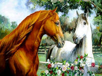 Пара лошадей на прогулке