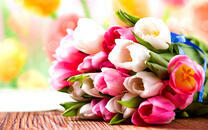 Букет ранних тюльпанов