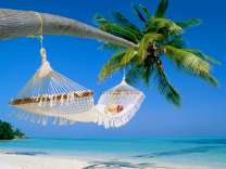 Райский отдых на берегу океана