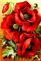 Букетик красных маков