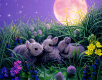 Серенькие кролики в полнолуние