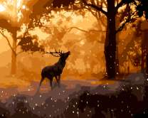 Олень в тенистом лесу