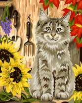 Серый котенок и цветущие подсолнухи