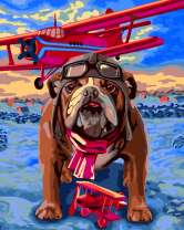 Пилот бульдог и аэроплан
