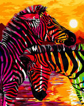 Яркая пара зебр на закате