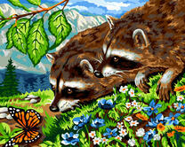 Любопытные еноты смотрят на бабочку