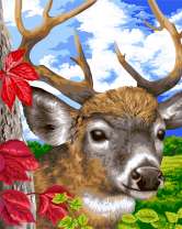 Молодой олень в начале осени