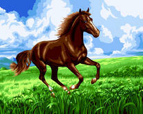 Лошадь на летнем лугу