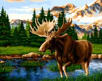 Большой лось на реке