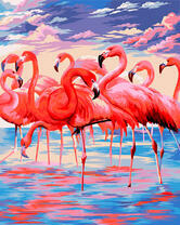 Стая розовых фламинго в воде