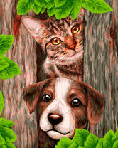 Щенок и котенок у забора