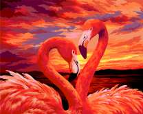 Пара ярких фламинго на фоне неба