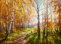 Тропинка в осеннем березовом лесу