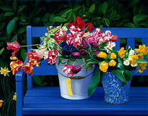 Два букета тюльпанов на скамье