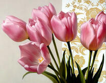 Нежный букетик тюльпанов