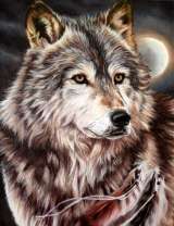 Волк на фоне полной луны