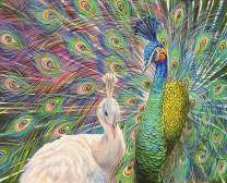 Счастливая семья павлинов