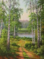 Летняя дорожка среди берёз к озеру