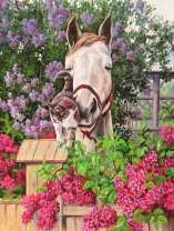 Кот и лошадь в весеннем саду