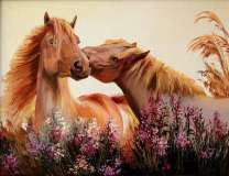 Лошадиная свадьба на цветущем лугу