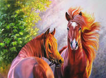 Лошади на опушке леса