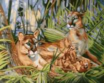 Львиное семейство на отдыхе в джунглях