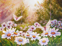 Бабочки на ромашковой поляне в лесу