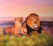 Семья львов в летней траве