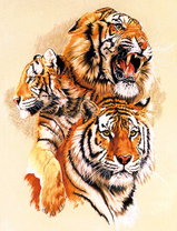 Портрет трех тигров