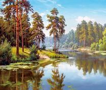 Высокие сосны на берегу тихой реки