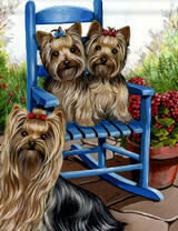 Семья йоркширкских терьеров в саду