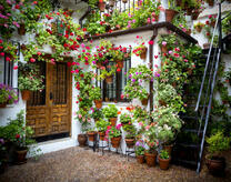 Цветущая веранда