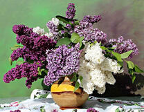 Желтая ваза с букетом сирени