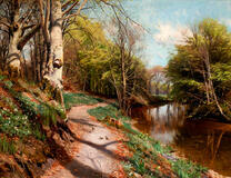 Опавшие листья у реки