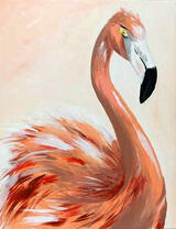 Красивый фламинго