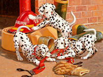 Щеночки далматинца играют со шлемом