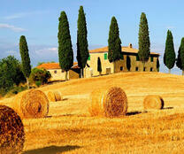 Сено и деревья у старинной фермы