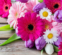Герберы, ромашки и тюльпаны в букете