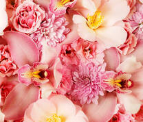 Розовый букет из орхидей и роз