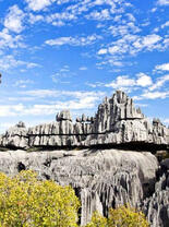 Деревья под живописными скалами