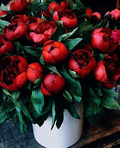 Белая ваза с букетом красных цветов