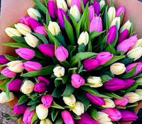 Большой букет нежных тюльпанов