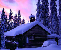 Деревянный домик в лесу под снегом