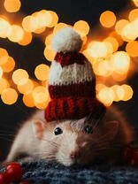 Мышонок в вязанной шапочке под ночным небом