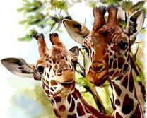 Два жирафа у летнего дерева