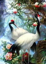 Красноголовые журавли под деревьями